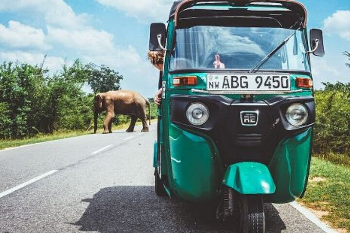 Sigiriya and Dambulla Day Trip with Village Tour by Tuk-Tuk / Car - Photo 1 of 6